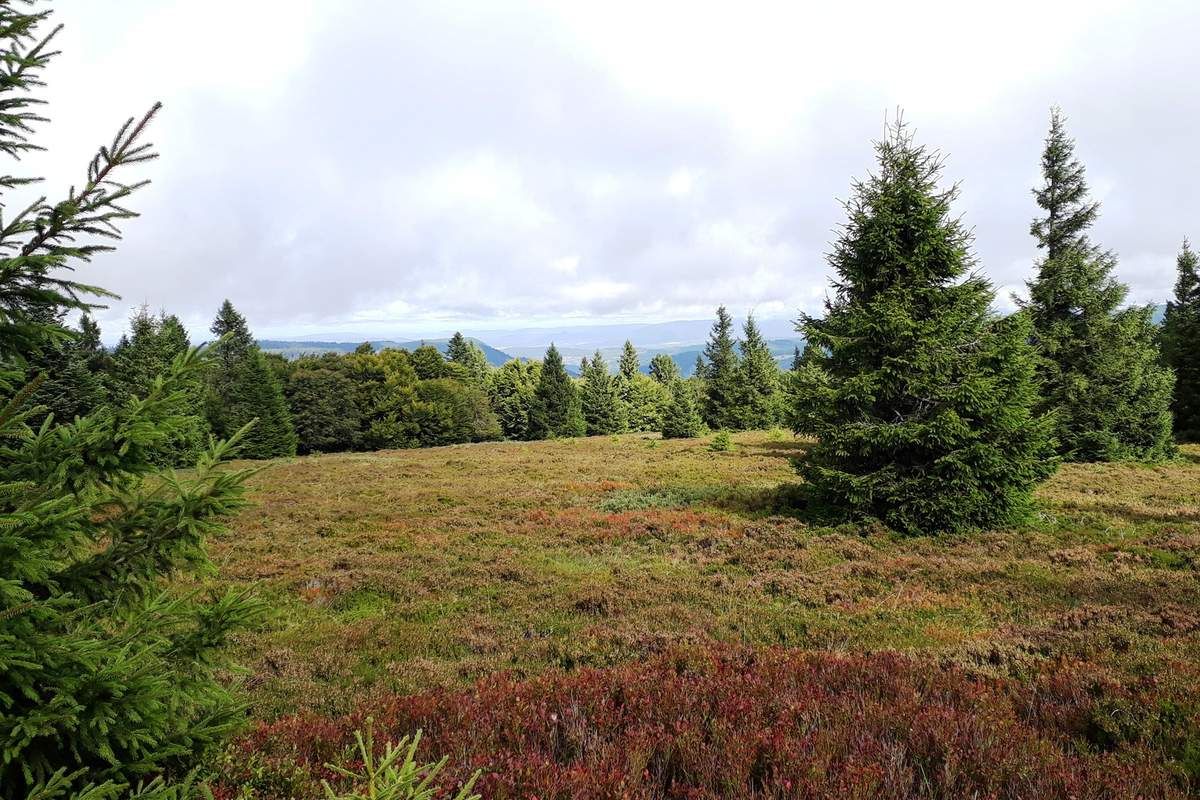 C'était le dimanche 10 septembre, une journée en famille et en plein air