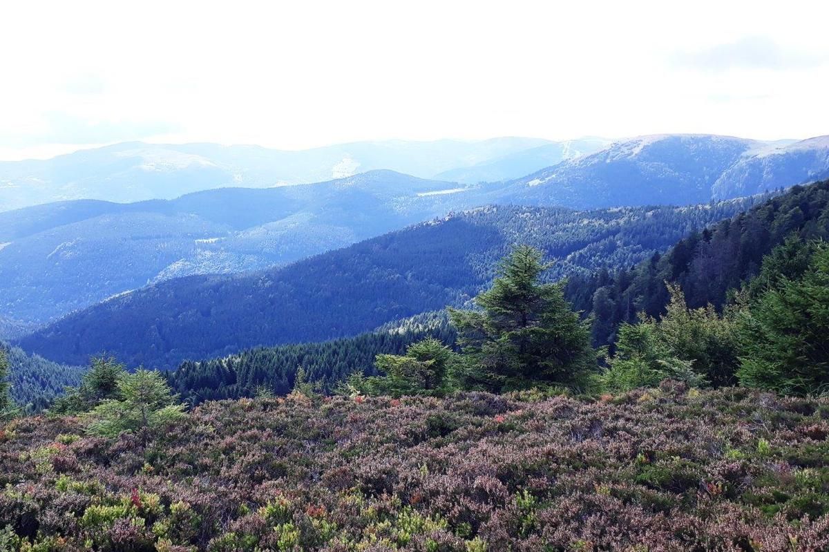 En diaporama, la journée en plein air du 10 septembre (32 photos)