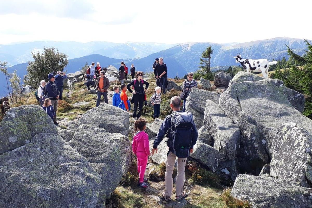 En diaporama, la journée en plein air du 10 septembre (32 photos)